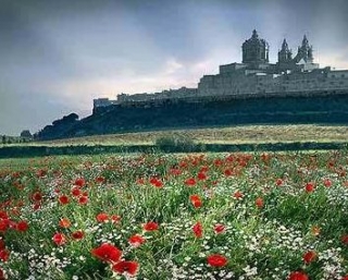  Excursiones en Sicilia 